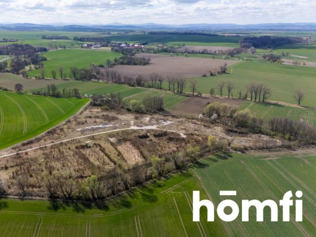 Industrial and production plot, close to the highway - Plot - Sale - Legnicki, Legnickie Pole / Mikołajowice