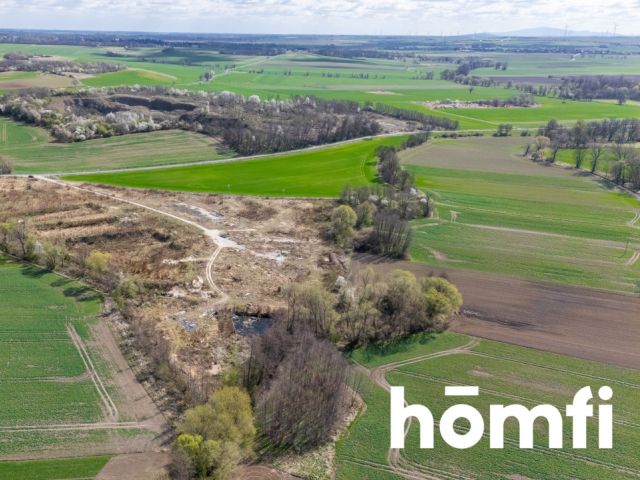 Industrial and production plot, close to the highway - Plot - Sale - Legnicki, Legnickie Pole / Mikołajowice