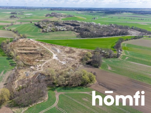 Industrial and production plot, close to the highway - Plot - Sale - Legnicki, Legnickie Pole / Mikołajowice