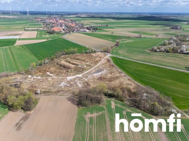 Industrial and production plot, close to the highway - Plot - Sale - Legnicki, Legnickie Pole / Mikołajowice