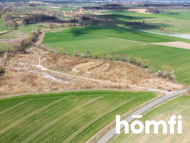 Industrial and production plot, close to the highway - Plot - Sale - Legnicki, Legnickie Pole / Mikołajowice