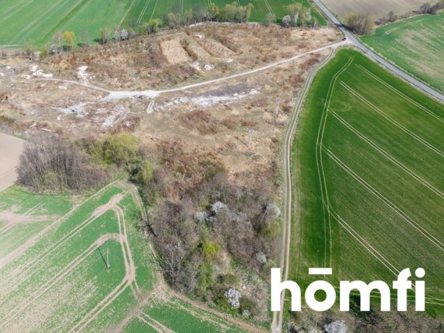 Industrial and production plot, close to the highway - Plot - Sale - Legnicki, Legnickie Pole / Mikołajowice