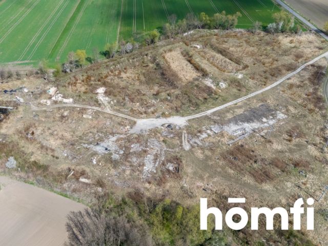 Industrial and production plot, close to the highway - Plot - Sale - Legnicki, Legnickie Pole / Mikołajowice