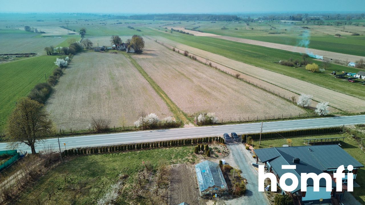 Beautiful Building Plot for Sale – 3,002 m² | Borowina Starozamojska near Zamość - Plot - Sale - Zamojski, Stary Zamość / Borowina