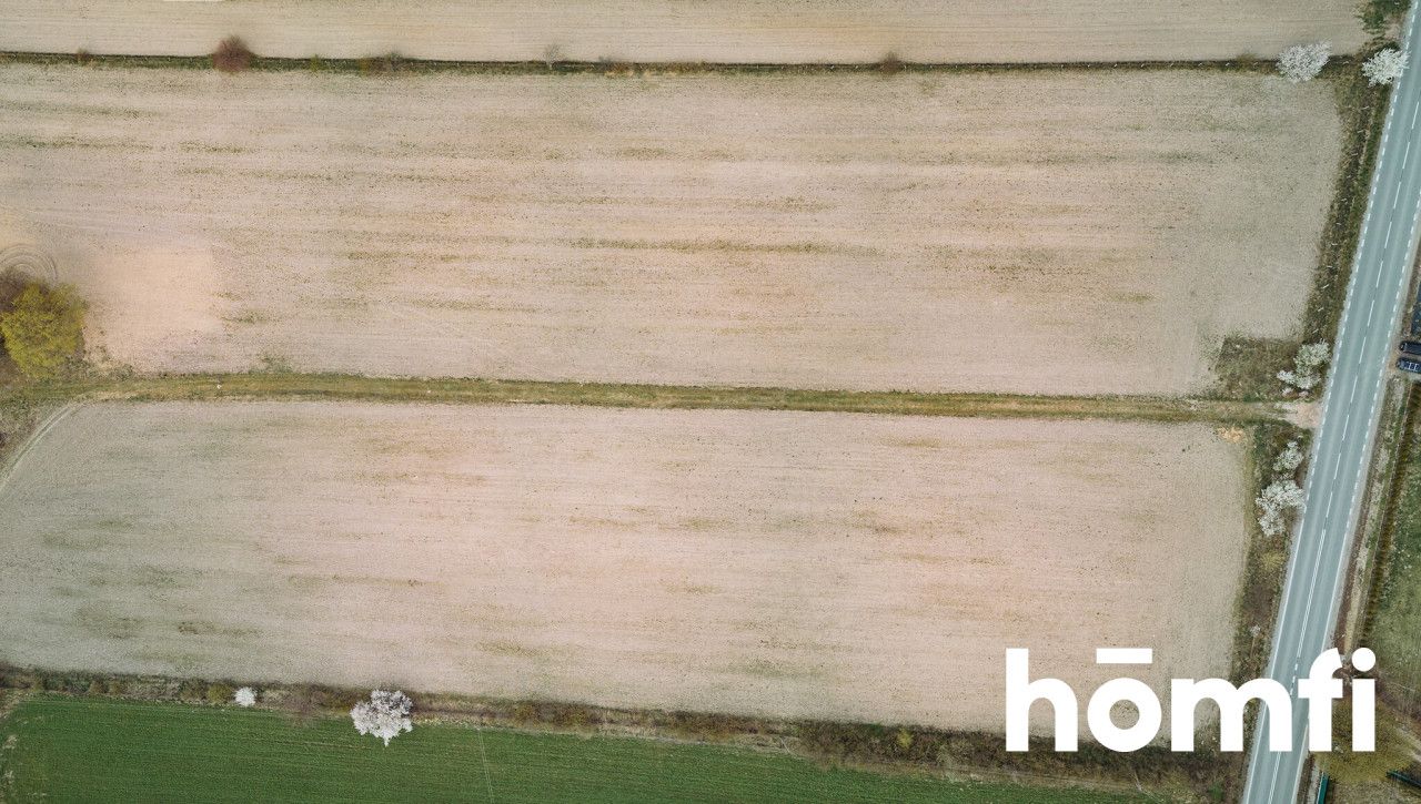 Beautiful Building Plot for Sale – 3,002 m² | Borowina Starozamojska near Zamość - Plot - Sale - Zamojski, Stary Zamość / Borowina