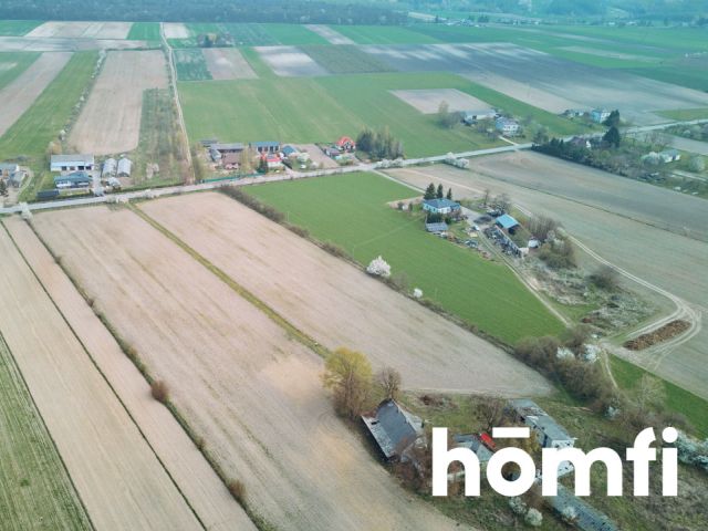 Ładna Działka Borowina Starozamojska 3000 m2 z WZ - Działka - Sprzedaż - Zamość
