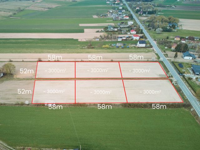 Ładna Działka Borowina Starozamojska 3000 m2 z WZ - Działka - Sprzedaż - Zamość
