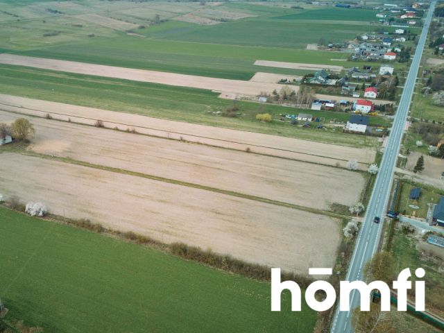 Ładna Działka Borowina Starozamojska 3000 m2 z WZ - Działka - Sprzedaż - Zamość