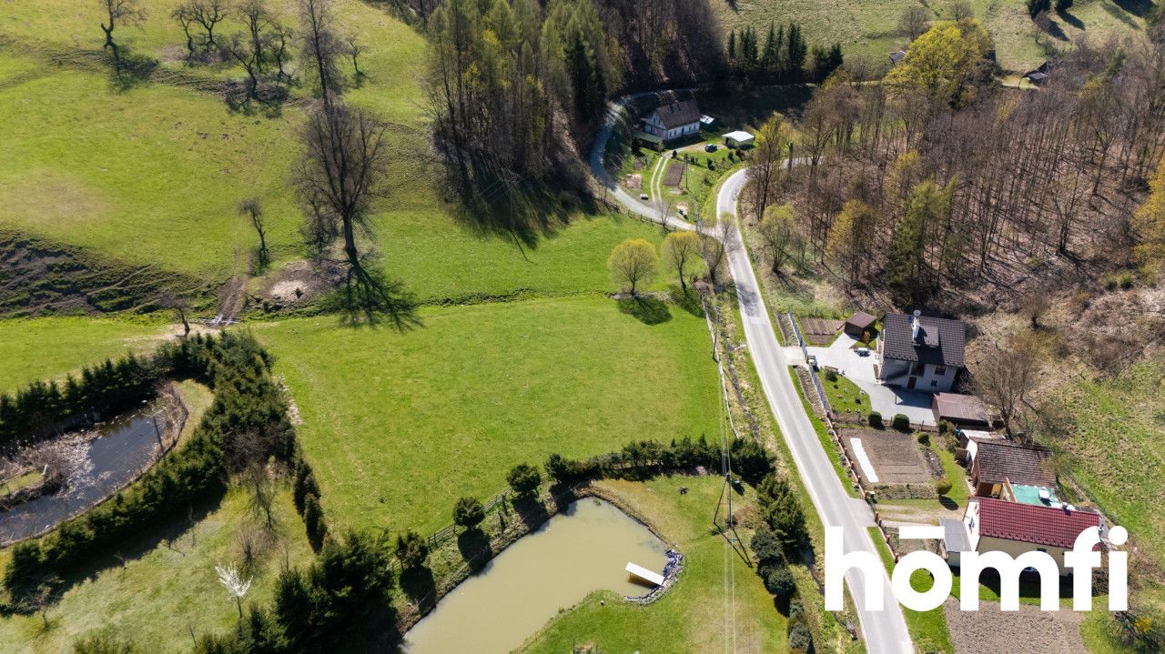 Działka orna 3000m2 z warunkami zabudowy, Nowa Wieś Kłodzka - Działka - Sprzedaż - Kłodzki, Nowa Ruda / Nowa Wieś Kłodzka