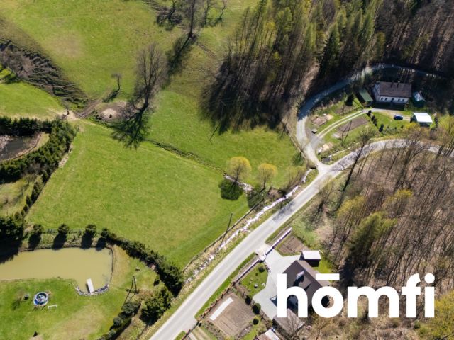 Działka orna 3000m2 z warunkami zabudowy, Nowa Wieś Kłodzka - Działka - Sprzedaż - Kłodzki, Nowa Ruda / Nowa Wieś Kłodzka
