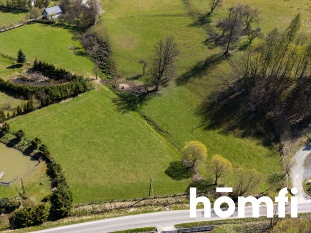 Działka orna 3000m2 z warunkami zabudowy, Nowa Wieś Kłodzka - Działka - Sprzedaż - Kłodzki, Nowa Ruda / Nowa Wieś Kłodzka