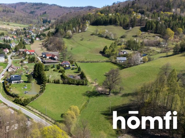 Działka orna 3000m2 z warunkami zabudowy, Nowa Wieś Kłodzka - Działka - Sprzedaż - Kłodzki, Nowa Ruda / Nowa Wieś Kłodzka