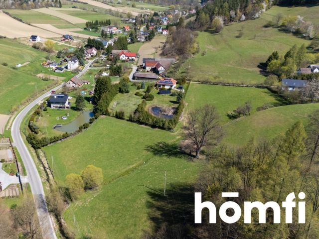 Działka orna 3000m2 z warunkami zabudowy, Nowa Wieś Kłodzka - Działka - Sprzedaż - Kłodzki, Nowa Ruda / Nowa Wieś Kłodzka