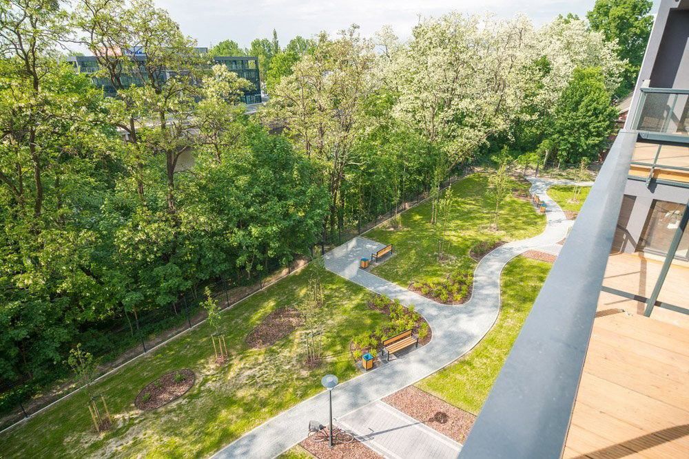 1-bedroom apartament in the center with the view on greenery - Apartment - Rent - Wrocław, Śródmieście