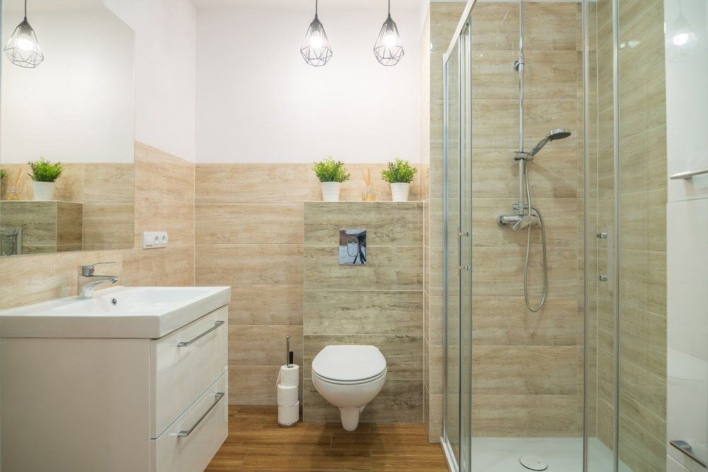 1-bedroom apartament in the center with the view on greenery - Apartment - Rent - Wrocław, Śródmieście