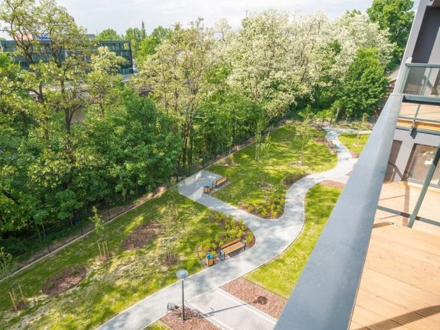 1-bedroom apartament in the center with the view on greenery - Квартира - Оренда - Wrocław, Śródmieście