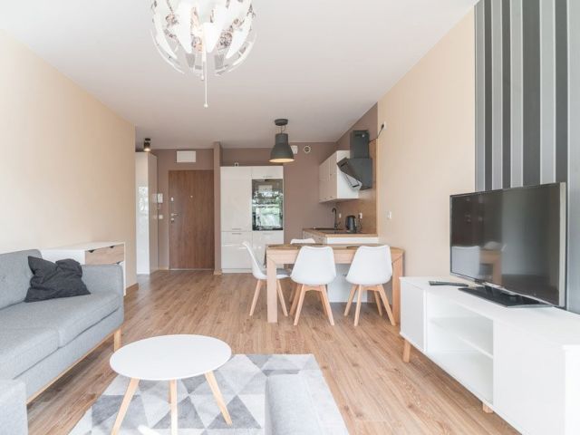 1-bedroom apartament in the center with the view on greenery - Квартира - Оренда - Wrocław, Śródmieście