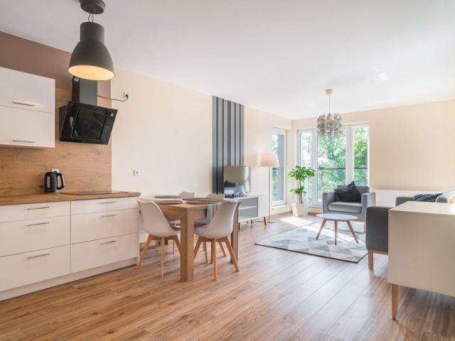 1-bedroom apartament in the center with the view on greenery - Квартира - Оренда - Wrocław, Śródmieście