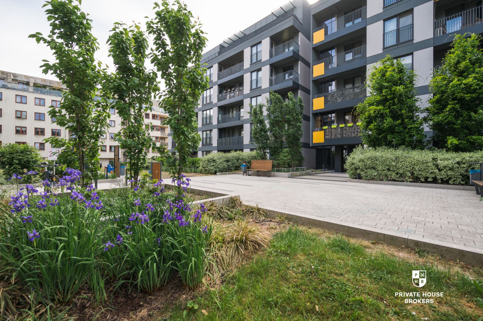 Spacious 66m three-room apartment with balcony at Głowackiego Street - Apartment - Rent - Kraków, Krowodrza / Bronowice