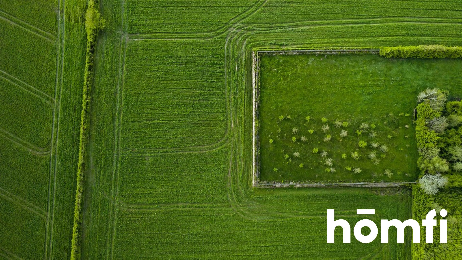 Building Plot 3400 m² with Planning Permission – Kolonia Zrąb - Plot - Sale - Zamojski, Skierbieszów / Zrąb