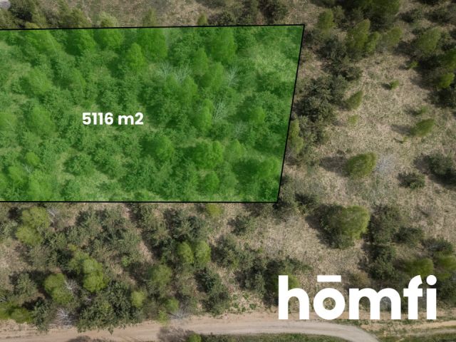Unique plot with a natural green buffer - Plot - Sale - Olsztyński, Jonkowo / Węgajty