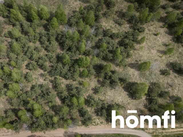 Unique plot with a natural green buffer - Plot - Sale - Olsztyński, Jonkowo / Węgajty