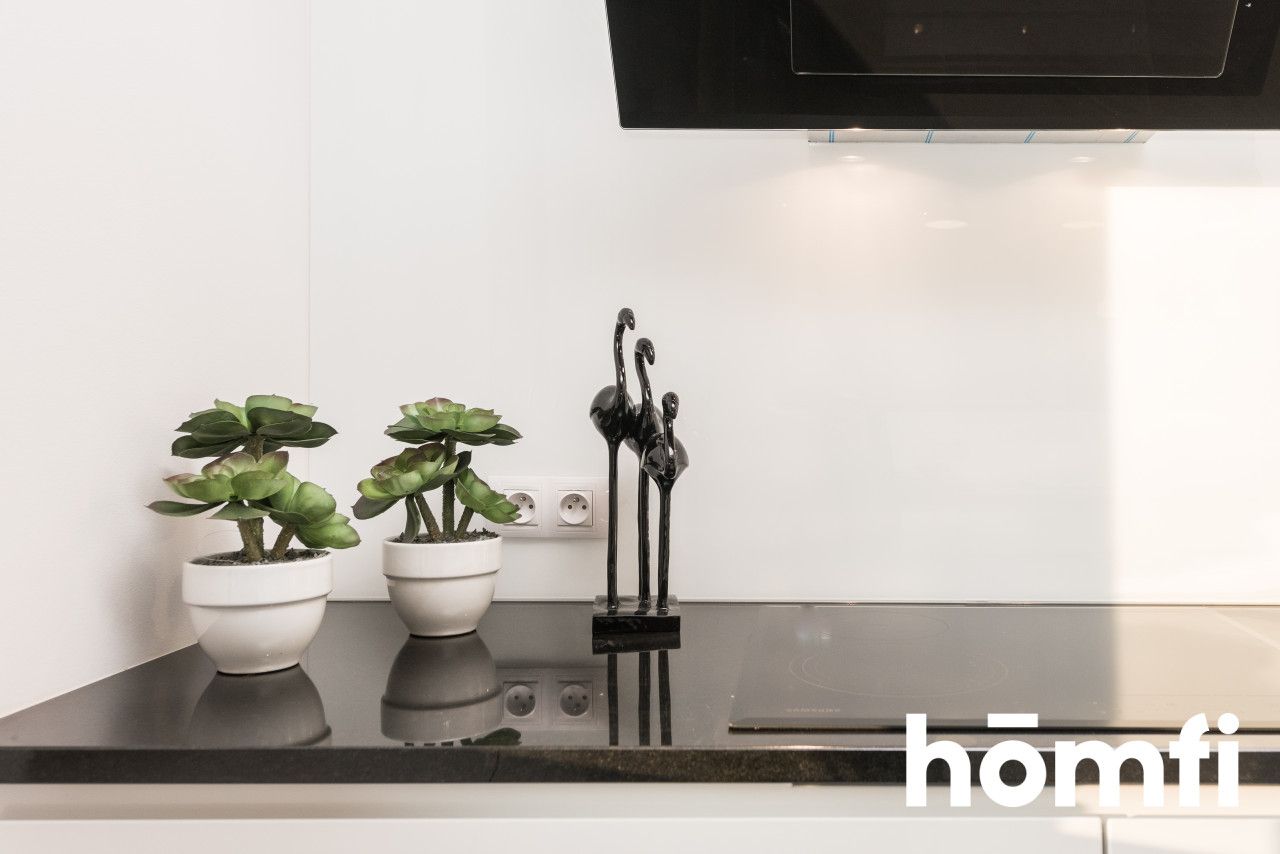 Two bedroom apartment near Blonia - Apartment - Rent - Kraków, Krowodrza / Zwierzyniec