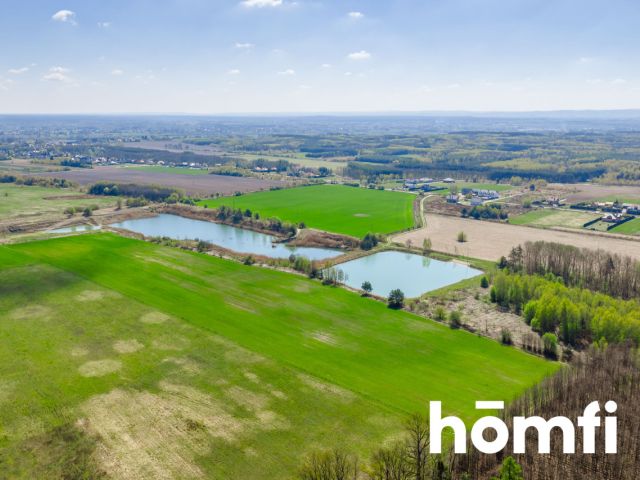 MPZP REKREACJA | 13 HA | ODPADY 17 05 04 - Działka - Sprzedaż - Mielecki, Przecław