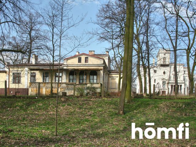 Zabytkowa willa nad rzeką | duża działka - Dom - Sprzedaż - Skierniewice