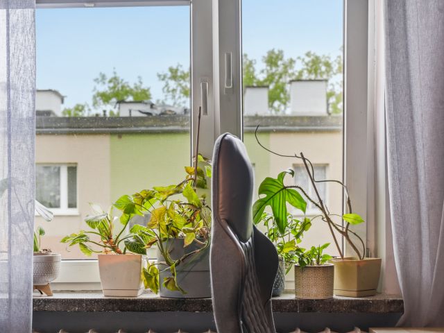 PRZYTULNE 38M2 katowice - Mieszkanie - Sprzedaż - Katowice, Brynów