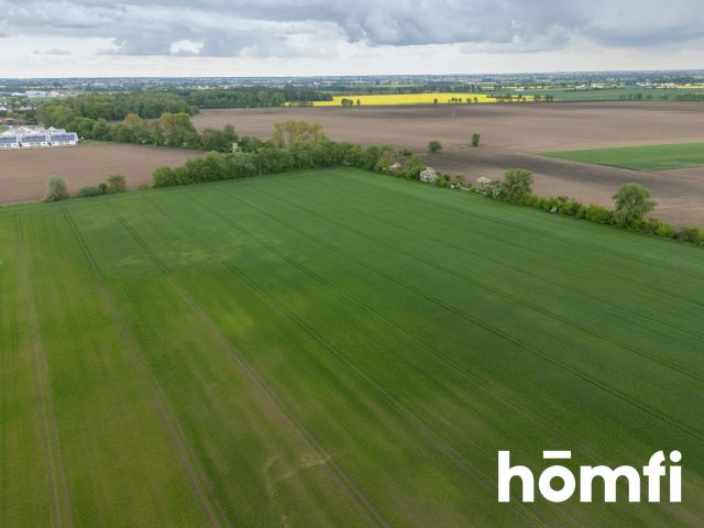 Zoned commercial plot (Education / Sport / Recreation) | Poznań Metropolitan Area - Plot - Sale - Poznański, Swarzędz / Zalasewo