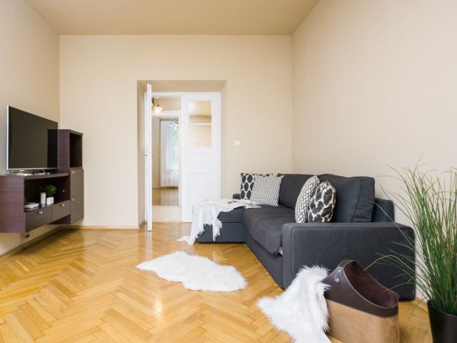 Spacious apartment, on the Al. Słowackiego Street - Квартира - Оренда - Kraków, Śródmieście / Stare Miasto