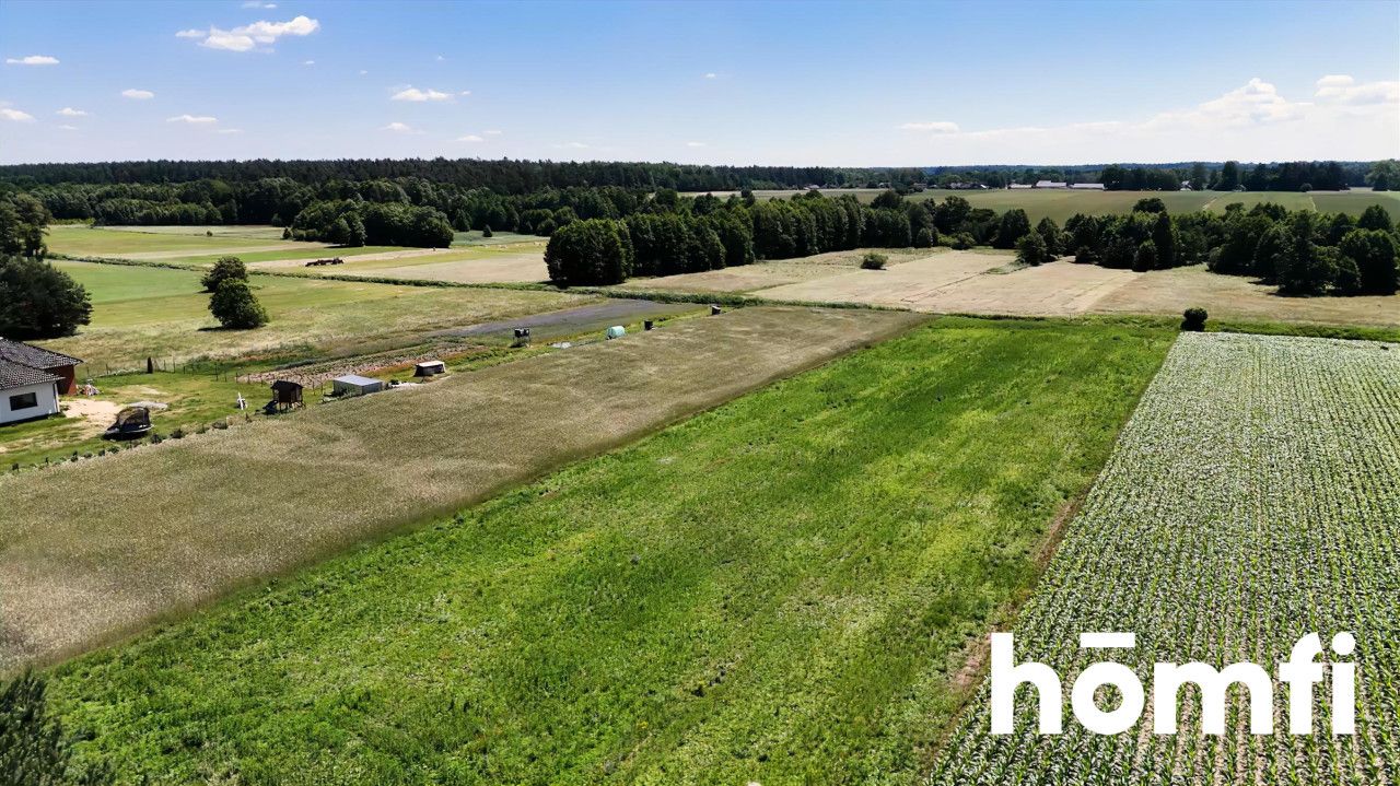 7,400 m² of peace and quiet. Build your own - Plot - Sale - Radomski, Iłża / Jedlanka Stara