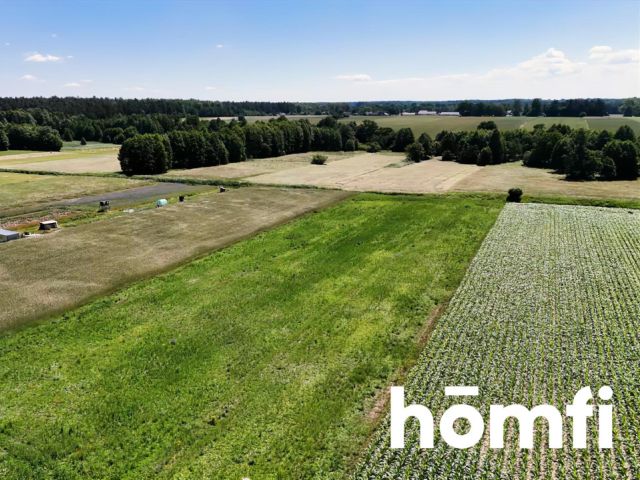 7,400 m² of peace and quiet. Build your own - Ділянка - Продаж - Radomski, Iłża / Jedlanka Stara
