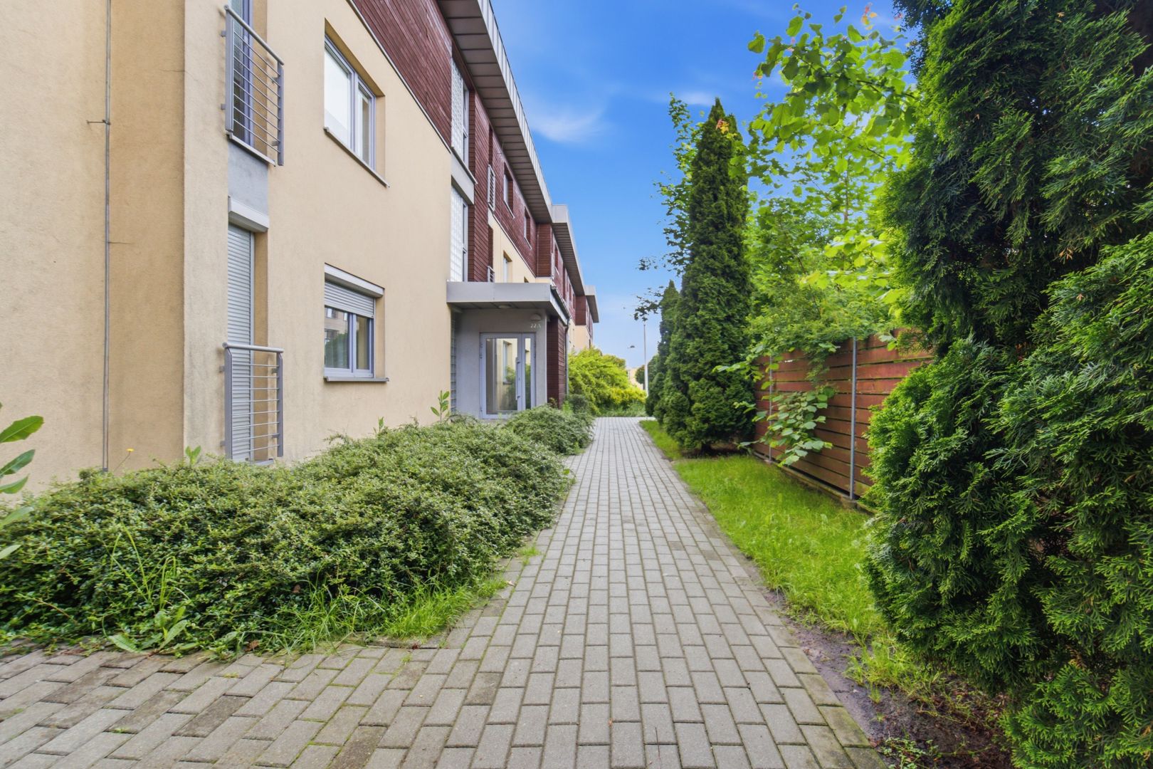 Bright, comfortable 54m² for rent, large balcony - Apartment - Rent - Katowice, Piotrowice