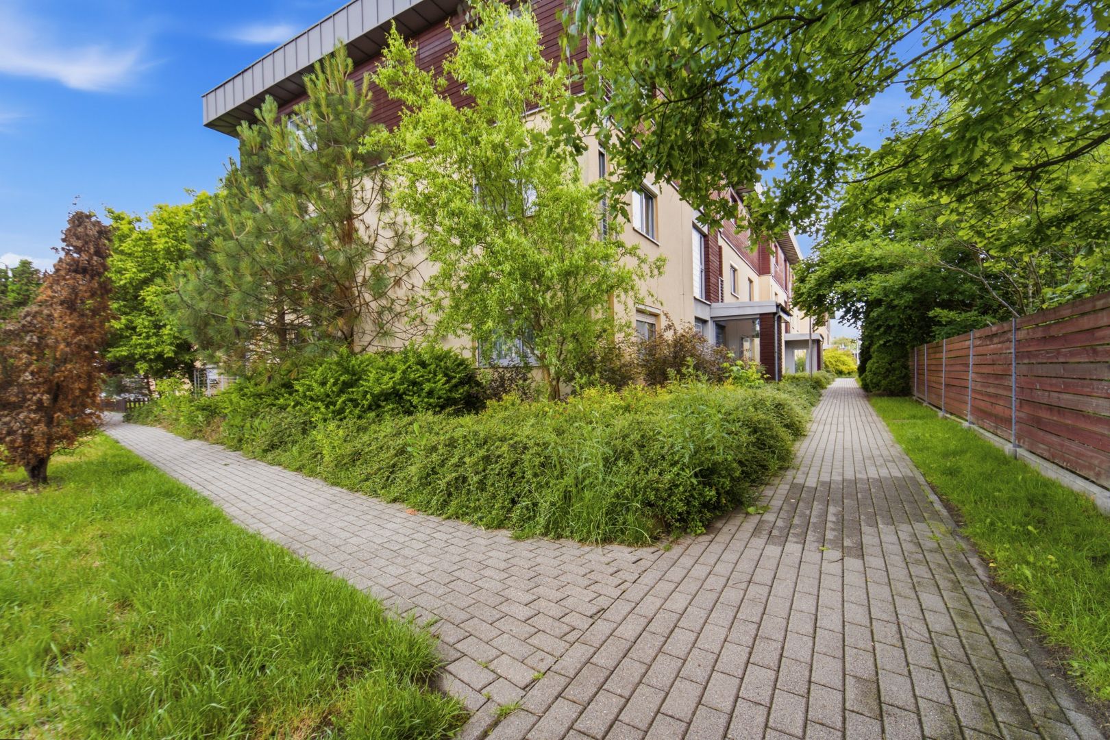 Bright, comfortable 54m² for rent, large balcony - Apartment - Rent - Katowice, Piotrowice
