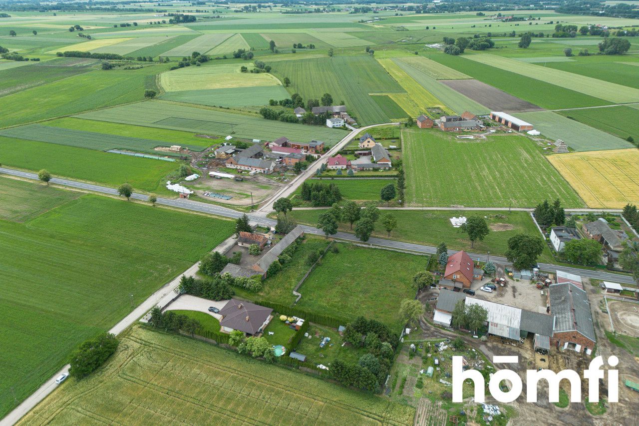 Agricultural and building plot with development conditions and project | Dalewo - Plot - Sale - Śremski, Śrem / Dalewo