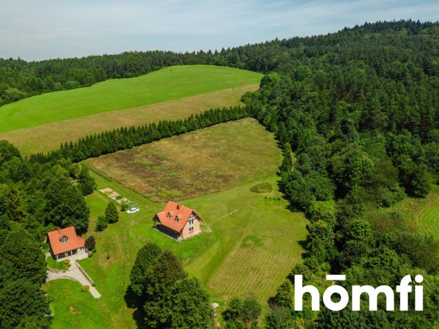 Homestead on a Beautiful Plot Near Magura National Park! - House - Sale - Jasielski, Krempna / Kotań
