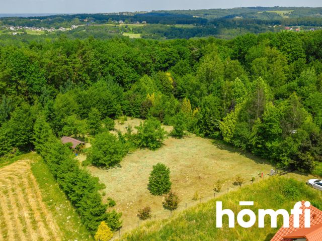 Fenced plot next to the state forest with a cottage - Ділянка - Продаж - Rzeszowski, Chmielnik