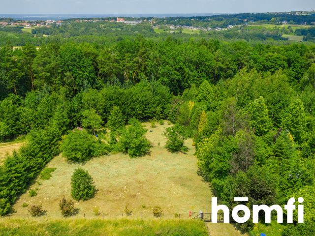 Fenced plot next to the state forest with a cottage - Ділянка - Продаж - Rzeszowski, Chmielnik