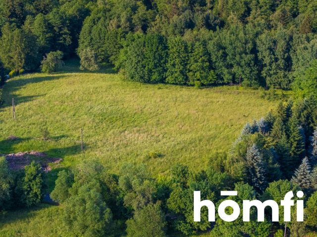 Building Plot in the Mountains - Plot - Sale - Wałbrzyski, Walim