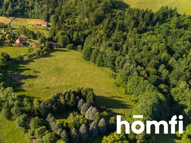 Building Plot in the Mountains - Ділянка - Продаж - Wałbrzyski, Walim