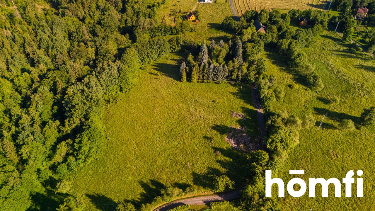 Building Plot in the Mountains - Ділянка - Продаж - Wałbrzyski, Walim