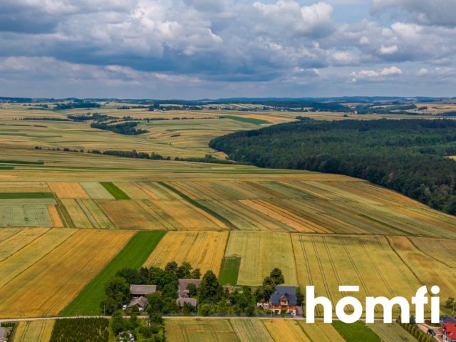 HOUSE FOR RENOVATION - 56 ARE PLOT - 20 KM FROM KRAKOW - Дім - Продаж - Krakowski, Skała / Barbarka