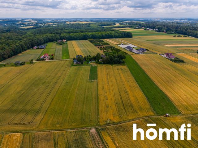 HOUSE FOR RENOVATION - 56 ARE PLOT - 20 KM FROM KRAKOW - Дім - Продаж - Krakowski, Skała / Barbarka