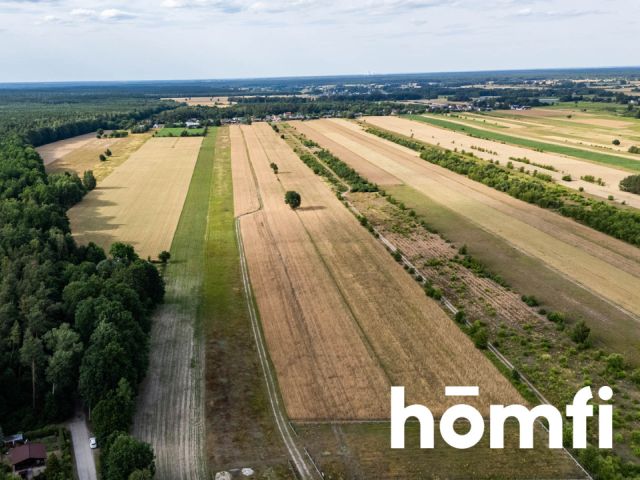 Dom w okolicy Puszczy Kozienickiej - Dom - Sprzedaż - Radomski, Pionki / Kieszek
