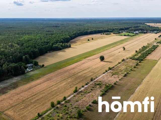 Dom w okolicy Puszczy Kozienickiej - Dom - Sprzedaż - Radomski, Pionki / Kieszek