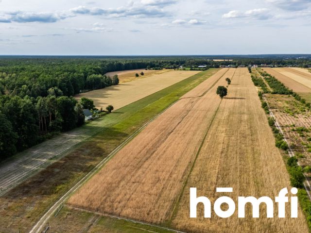 Dom w okolicy Puszczy Kozienickiej - Dom - Sprzedaż - Radomski, Pionki / Kieszek