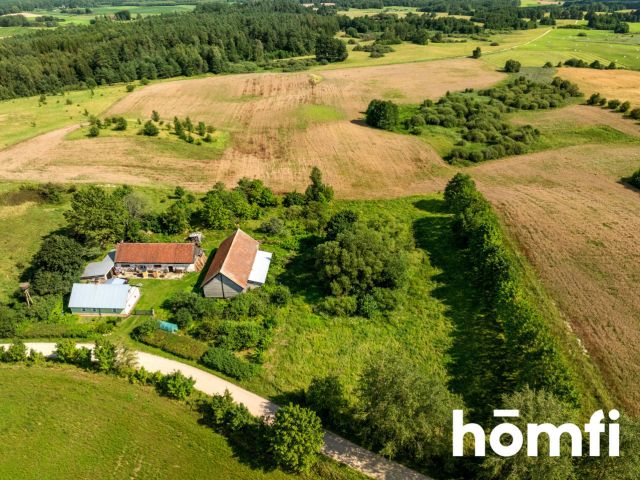 FOR SALE! PLOT 10 hectares /Warmia-Masuria/Olecki/Świętajno/Rogojny - Plot - Sale - Olecki, Świętajno / Rogojny