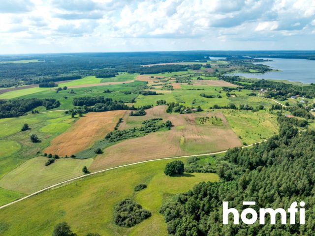 FOR SALE! PLOT 10 hectares /Warmia-Masuria/Olecki/Świętajno/Rogojny - Plot - Sale - Olecki, Świętajno / Rogojny